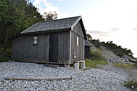 DSC 0807