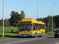IMG 5824