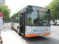 DSCN0945