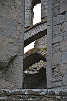 DSC 1020