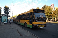 DSCF1365