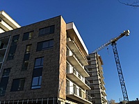 IMG 4548