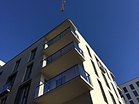 IMG 4554