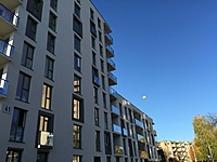 IMG 4561