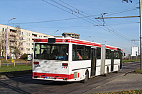 IMG 6277