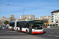 IMG 6283