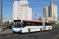 IMG 6298