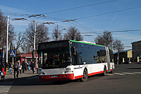 IMG 6306
