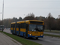 IMG 6466