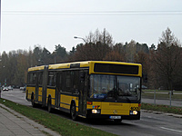IMG 6471