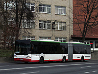 IMG 6480