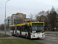 IMG 6487