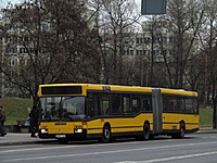 IMG 6503