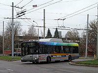 IMG 6517