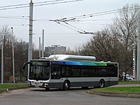 IMG 6520