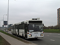 IMG 6526