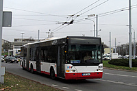 IMG 6490