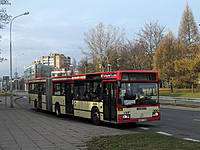 IMG 6537