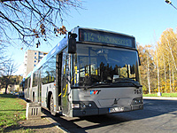 IMG 6261