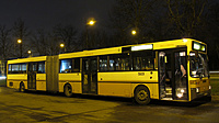 IMG 6622