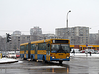 IMG 6635