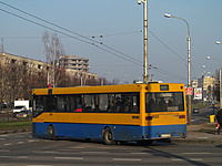 IMG 6653