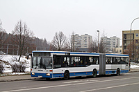 IMG 6697 1