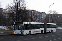 IMG 6891