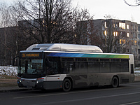 IMG 6888