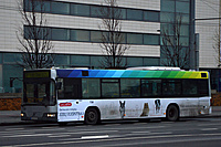 DSC 0008