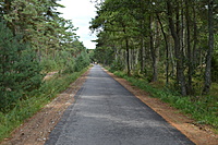 DSC 0476
