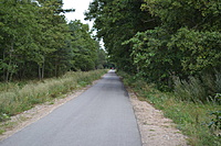 DSC 0482
