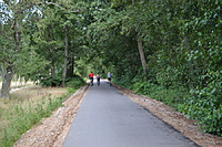 DSC 0486