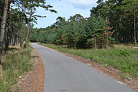DSC 0506