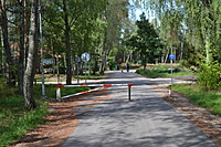 DSC 0515