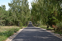 DSC 0516