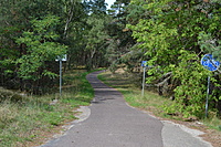 DSC 0533