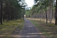 DSC 0534