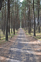 DSC 0536