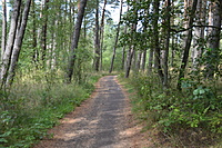DSC 0538