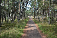 DSC 0541