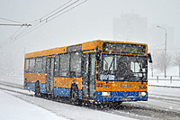 DSC 1358