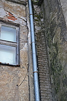 DSC 0386