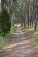DSC 0544