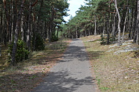 DSC 0545