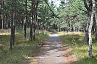 DSC 0549