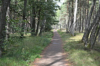 DSC 0551