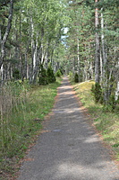 DSC 0552