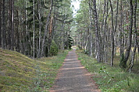 DSC 0554