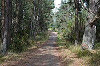 DSC 0560